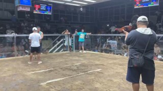 2hits victoria col.2nd fyt win champ