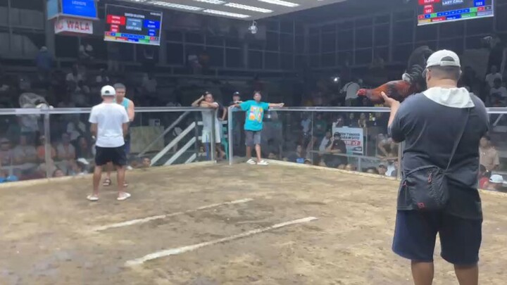 2hits victoria col.2nd fyt win champ