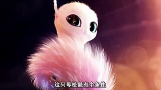 母松鼠为了找到男朋友，居然提出了一个苛刻的条件！