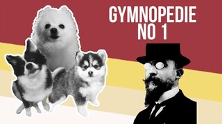 Gymnopedie No 1 but it's Doggos and Gabe