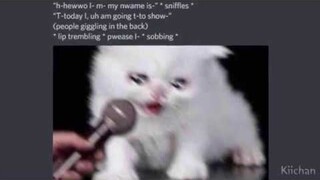 crying cat.exe