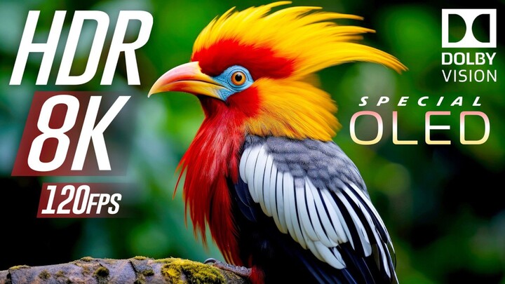 LAKES  SEAS  Anatolia Ancient Nature Full Episode (1080P_HD)