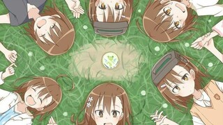 [Magic Index/A Certain Scientific Railgun/Misaka Sisters] How much do you know about the sisters? (C