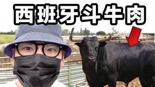 The first time I ate Spanish fighting beef on the Internet, I traveled over 900 kilometers for this 