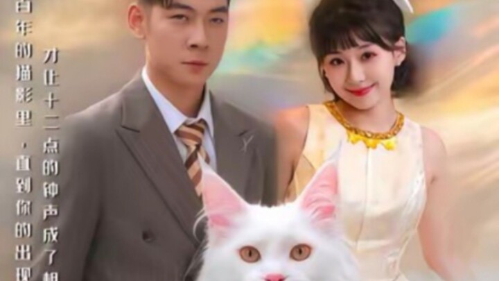 TRỌN BỘ - MÈO MAINE COON NỬA ĐÊM: CHỦ NHÂN CỦA TÔI LẠI LÀ ĐỊNH MỆNH ( Bạch Long , Vương Chi Dao )