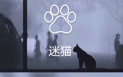 西南地区特有的品种：迷猫