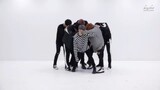 BTS - Blood, Sweat & Tears (Dance Practice)