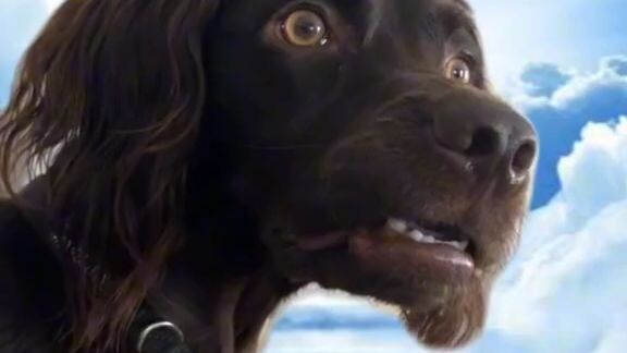 para sa free premium hehehe