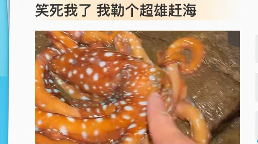 Hilarious! I can’t stop laughing—what a super-macho tide-pooling adventure!