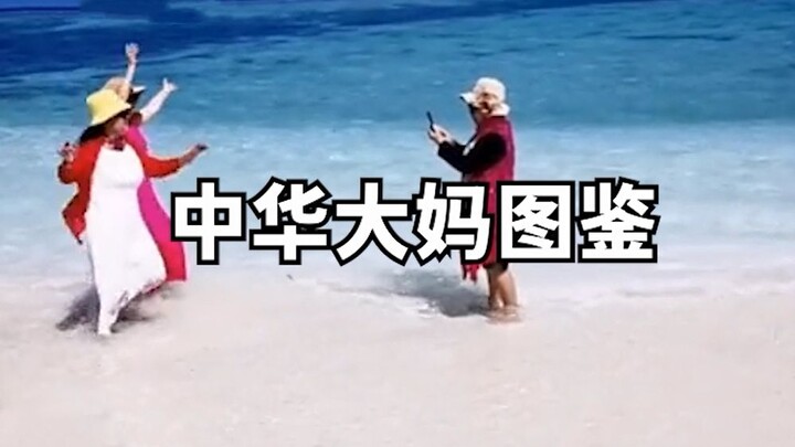 A Guide to Chinese Aunts