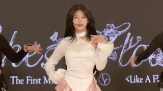 【裴珠泫Irene】先发一点副歌！Like A Flower全网首车 | I'm growing like a flower