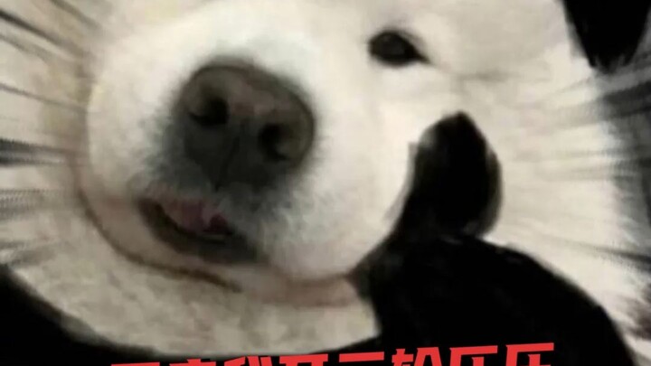 Old Man: Round or flat—It’s all in the customer’s split second.