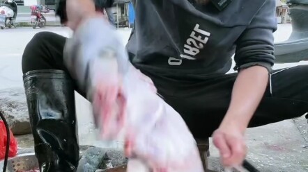 หญิงชราบอกว่าอาเล่อขายปลาตายของเธอ เกิดอะไรขึ้น?