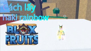 Cách lấy haki rainbow trong blox fruits