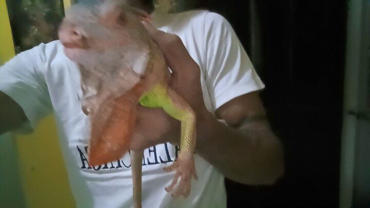 nangagat bigla