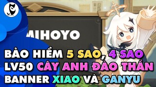 Q&A Mihoyo: Banner Nhân Vật 2 | Bảo Hiểm 4 Sao 5 Sao | Cây Anh Đào Thần | Câu Hỏi Về Xiao Ganyu