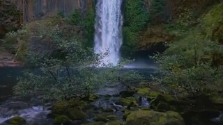 natural view of water falls