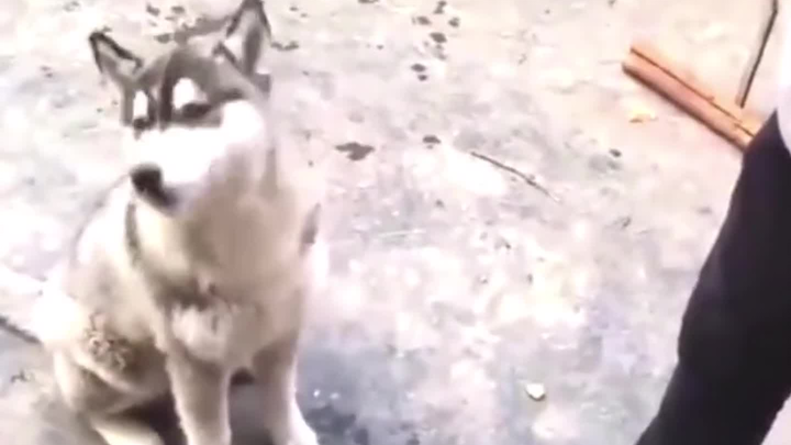 All these years we’ve been hanging out for nothing.