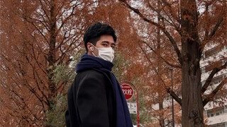 Exotic scenery in winter