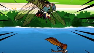 [Tangtang] Tambah pengetahuanmu! Bab Capung Pembunuh Nyamuk