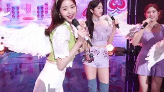 恭喜第五冠！IVE新曲LOVE DIVE一位安可直拍