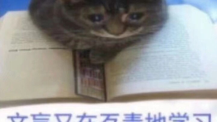 [Kaede One-channel] Pengetahuan secara jahat memasuki otakku saat aku sedang tidur