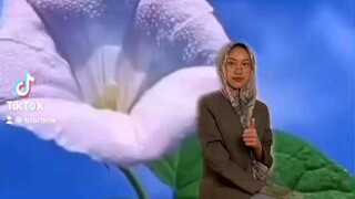 murid : assalamualaikum buk ini budi mau ngumpul tugas bahasa inggris kemaren.   guru : 👍
