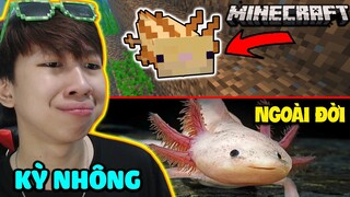 KỲ NHÔNG XUẤT HIỆN TRONG PHIÊN BẢN 1.17 😨 || VINH SO SÁNH GIỮA NGOÀI ĐỜI VÀ TRONG GAME MINECRAFT