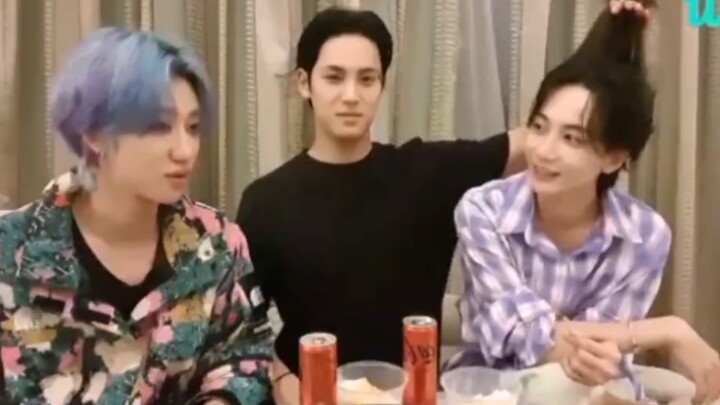 【เซเว่นทีน】ผลงานใหม่จาก "หมาจับหนู" คือ "หมาจับกระต่าย"