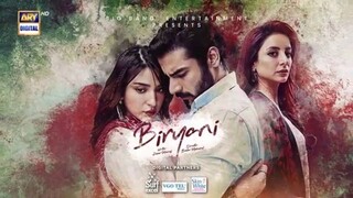 Biryani Episode 6 - Epi 06 4th Review - Biryani - Khushhal Kan -Ramsha Khan -28