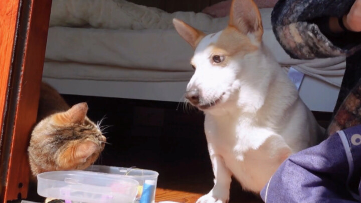 Jadi namamu Mimi, ya?