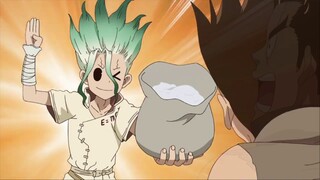 Three Little Birds | AMV | Dr Stone
