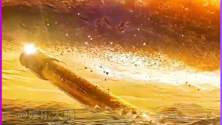 Hou Ge's value is still on the rise!