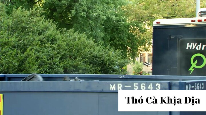 Chơi khăm xem phản ứng của mọi người phần 68 #thobiettroll