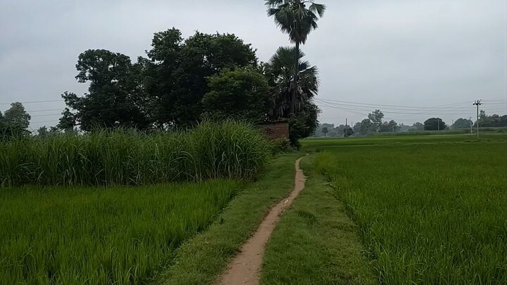 Mausam