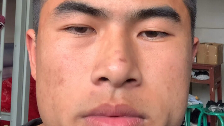 Sau khi trở thành sâu bọ