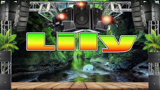 Alan Walker (Emelie Hallow) - Lily (Reggae Remix) Dj Jhanzkie 2022