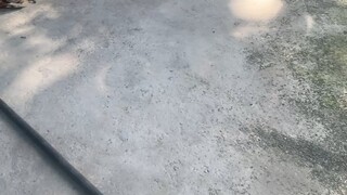 🌬️