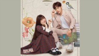 A ROMANCE OF THE LITTLE FOREST (2022) EPISODE 31❗❗