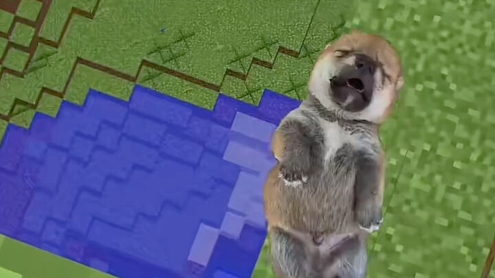 Cute Cats and Dogs in Minecraft