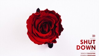好听麻了！BLACKPINK SHUT DOWN钢琴版