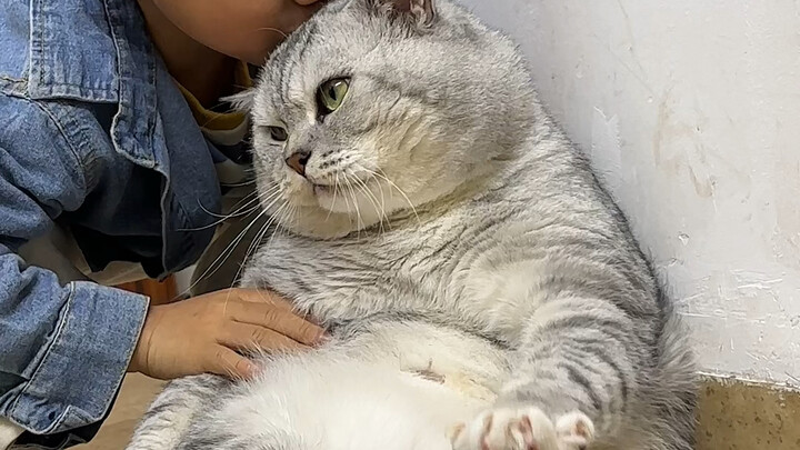 دا تشوانغ تَبَهّر من قبل أخيه الأصغر!