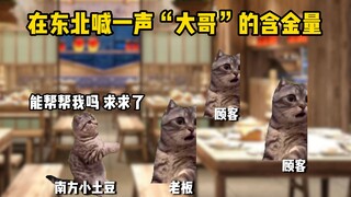在东北一声“大哥”有多好使！