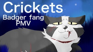 Crickets, Badgerfang PMV