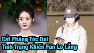 Triệu Lệ Dĩnh cắt phăng mái tóc dài, lộ tình trạng khác lạ khiến cư dân mạng không khỏi lo lắng