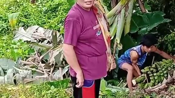 MINI VLOG: Mao na among kinabuhi sa bukid guys mamutol sang saging