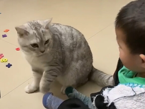 Đệ đệ ba năm trước ôm Đại Tráng