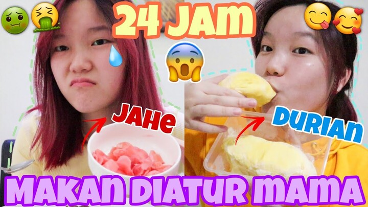 24 JAM MAKAN DIATUR MAMA!