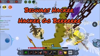 Blockman Go - Precise_Megattm5 Hacker