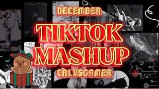 tiktok mushup